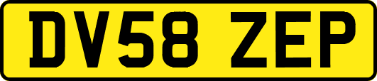 DV58ZEP