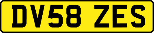 DV58ZES