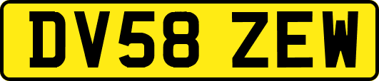 DV58ZEW
