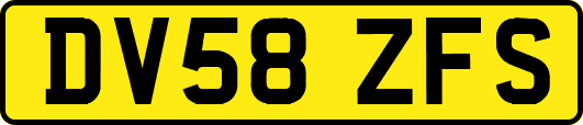 DV58ZFS