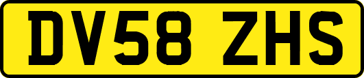 DV58ZHS