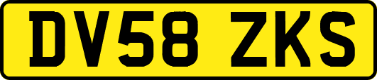 DV58ZKS