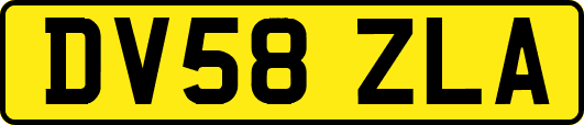 DV58ZLA