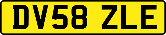 DV58ZLE