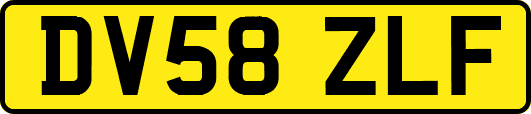 DV58ZLF