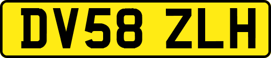 DV58ZLH