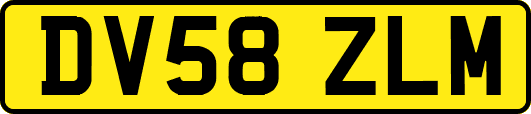 DV58ZLM