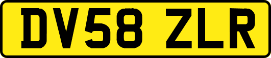 DV58ZLR