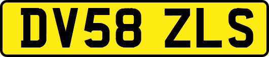 DV58ZLS