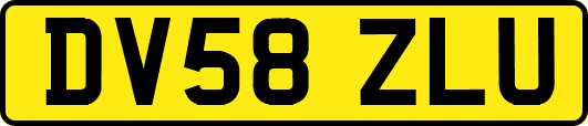 DV58ZLU
