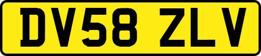 DV58ZLV