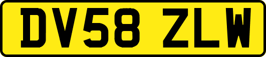 DV58ZLW