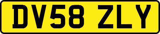 DV58ZLY