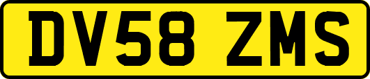DV58ZMS