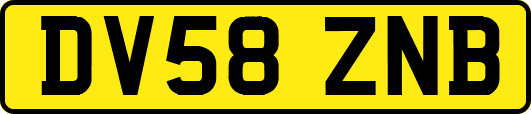 DV58ZNB
