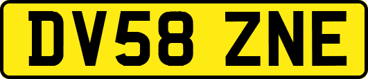 DV58ZNE