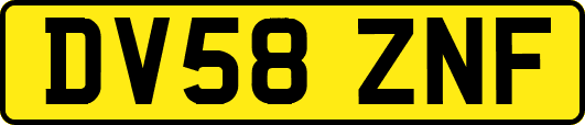 DV58ZNF