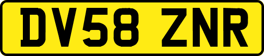 DV58ZNR
