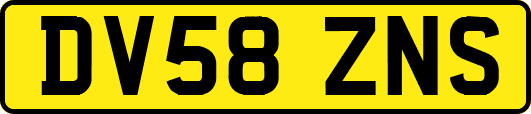 DV58ZNS