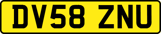DV58ZNU