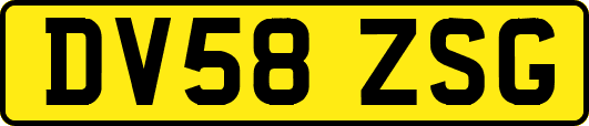 DV58ZSG