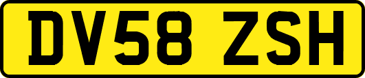 DV58ZSH