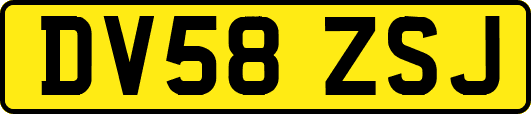 DV58ZSJ