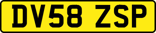 DV58ZSP