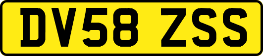 DV58ZSS