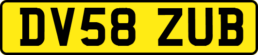 DV58ZUB