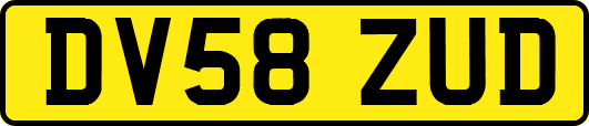 DV58ZUD