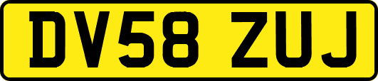 DV58ZUJ