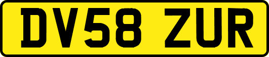 DV58ZUR