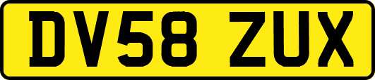 DV58ZUX