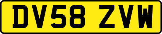 DV58ZVW