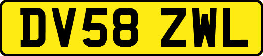 DV58ZWL