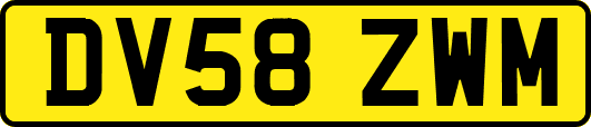 DV58ZWM