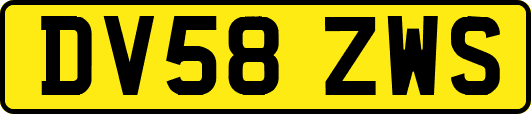 DV58ZWS