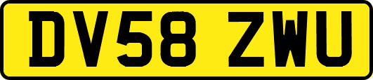 DV58ZWU