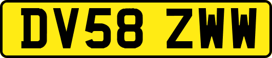 DV58ZWW