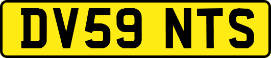 DV59NTS