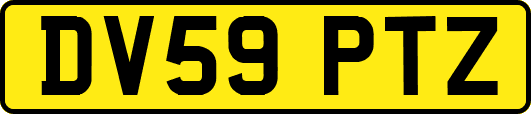 DV59PTZ