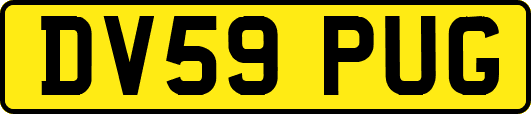DV59PUG