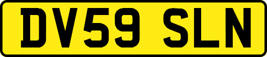 DV59SLN