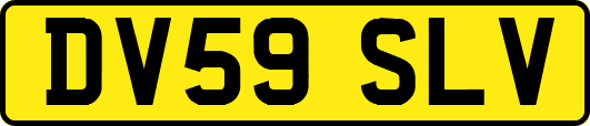 DV59SLV