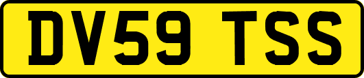 DV59TSS