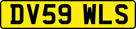 DV59WLS