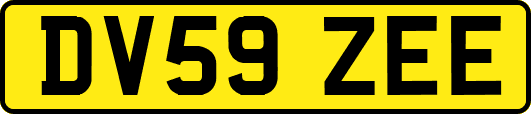 DV59ZEE