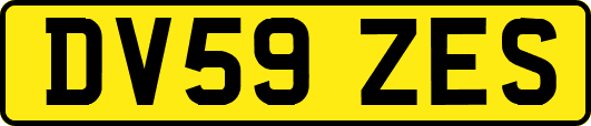 DV59ZES
