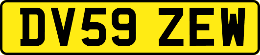 DV59ZEW